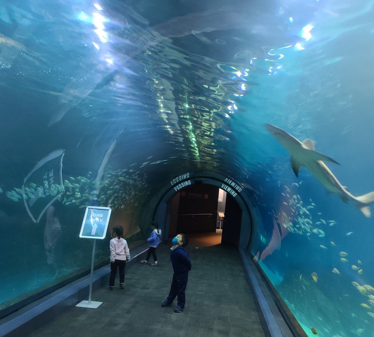 Adventure Aquarium (Camden,&nbspNJ)